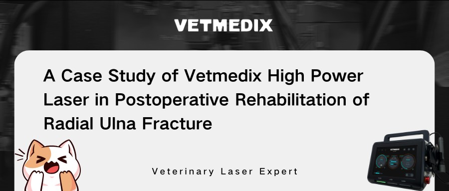 Распределение случая VetMedix 丨 Мощная лазерная терапия в послеоперационной реабилитации радиального перелома локтевой кости